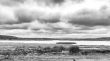 Lake Adele