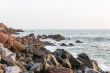 Shores of Dakar