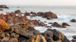 Shores of Dakar