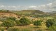 The road from Harar to Jigjiga