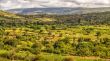Beautiful landscape of Harar