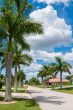 Sunny Florida