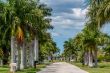 Sunny Florida