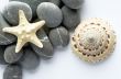 Natural spa elements- seashell with starshell and stones on whit