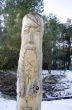 totem wood pole in the blue cloudy background 