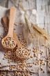 wheat grain in wooden spoons and ears 