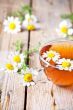 cup of tea with chamomile flowers 