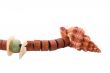 Shell with wood beads on the white background