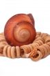 Shell with wood beads on the white background