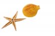 The Starfish with the shell on the white background