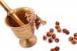 The Hazelnut and in the leaf old metal nutcracker