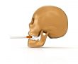 3d skull smoking cigarette