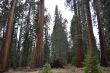 Between giants