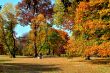 Autum colors in Central Park
