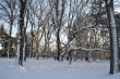 Snow in Central Park