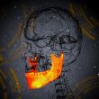 3d render medical illustration of the jaw bone