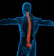 3d render medical illustration of the human spine