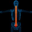 3d render medical illustration of the human spine