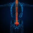 3d render medical illustration of the human spine