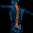 3d render medical illustration of the human spine