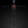 3d render medical illustration of the human heart 