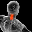 3d render medical illustration of the neck bone