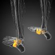3d render medical illustration of the midfoot bone