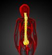 3d render medical illustration of the human spine