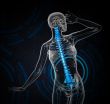 3d render medical illustration of the human spine 