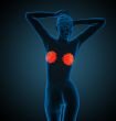 human breast 