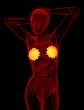 3d render medical illustration of the human breast
