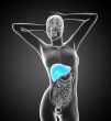 3d render medical illustration of the liver 