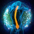 3d render medical illustration of the human spine