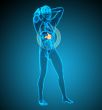 3d render medical illustration of the stomach
