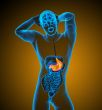 3d render medical illustration of the stomach
