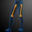 3d render medical illustration of the femur bone
