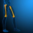 3d render medical illustration of the femur bone