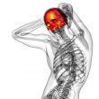 3d render medical illustration of the upper skull 