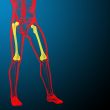 3d render medical illustration of the femur bone 