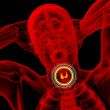  thyroid gland 