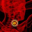  thyroid gland 