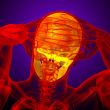 3d render medical illustration of the human skull 