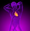 3d render medical illustration of the human heart 