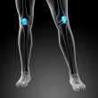 3d render medical illustration of the patella bone