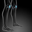 3d render medical illustration of the patella bone