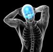 3d render medical illustration of the upper skull 