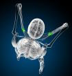 3d render medical illustration of the carpal bone 