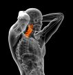  cervical spine