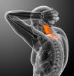 cervical spine
