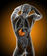 3d render medical illustration of the stomach